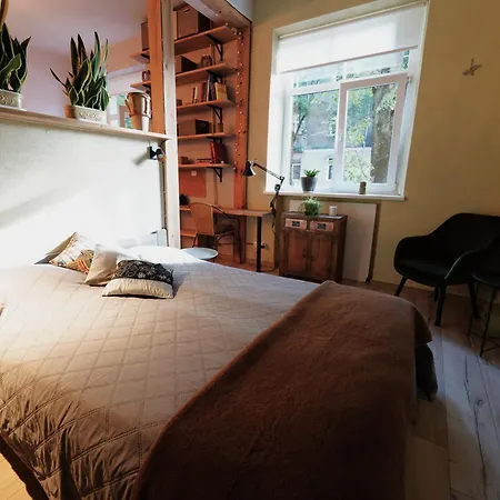 Jaukus Butas - Studija Centre Apartment *